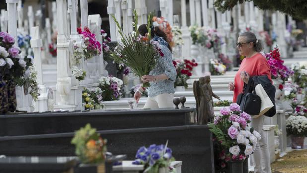 La pelea tuvo lugar en un bar próximo al cementerio de Sevilla