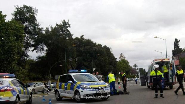 La Policía Local y los servicios sanitarios actuando durante el suceso