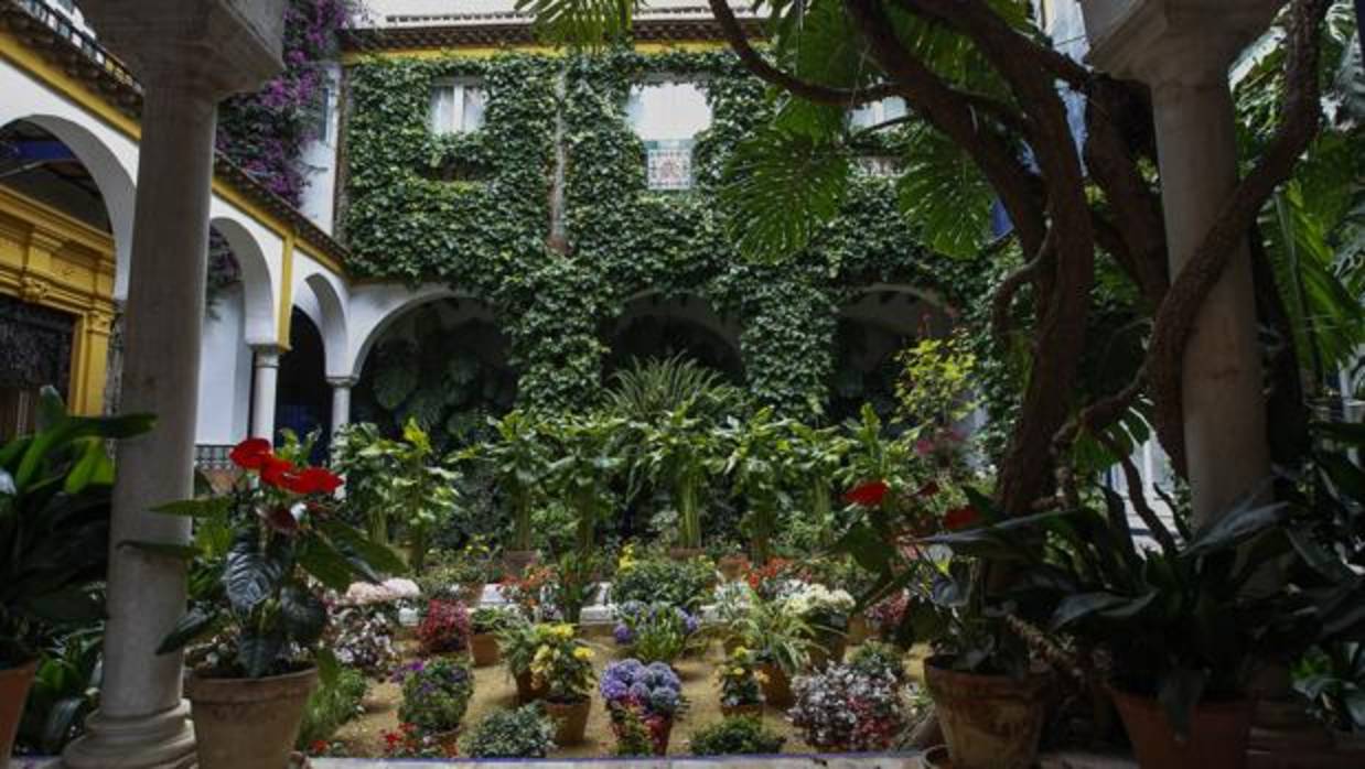 Patio del barrio de Santa Cruz