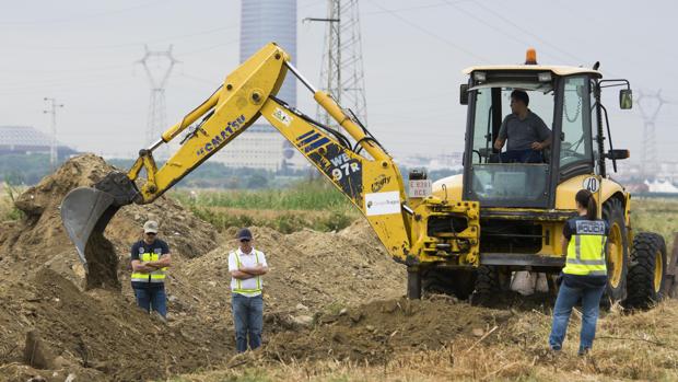 Descartan que un cráneo hallado en el Guadalquivir sea de Marta del Castillo