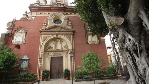 El ficus retirado del patio delantero de la iglesia de San Jacinto de Triana