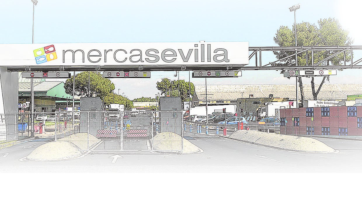 Acceso principal a Mercasevilla