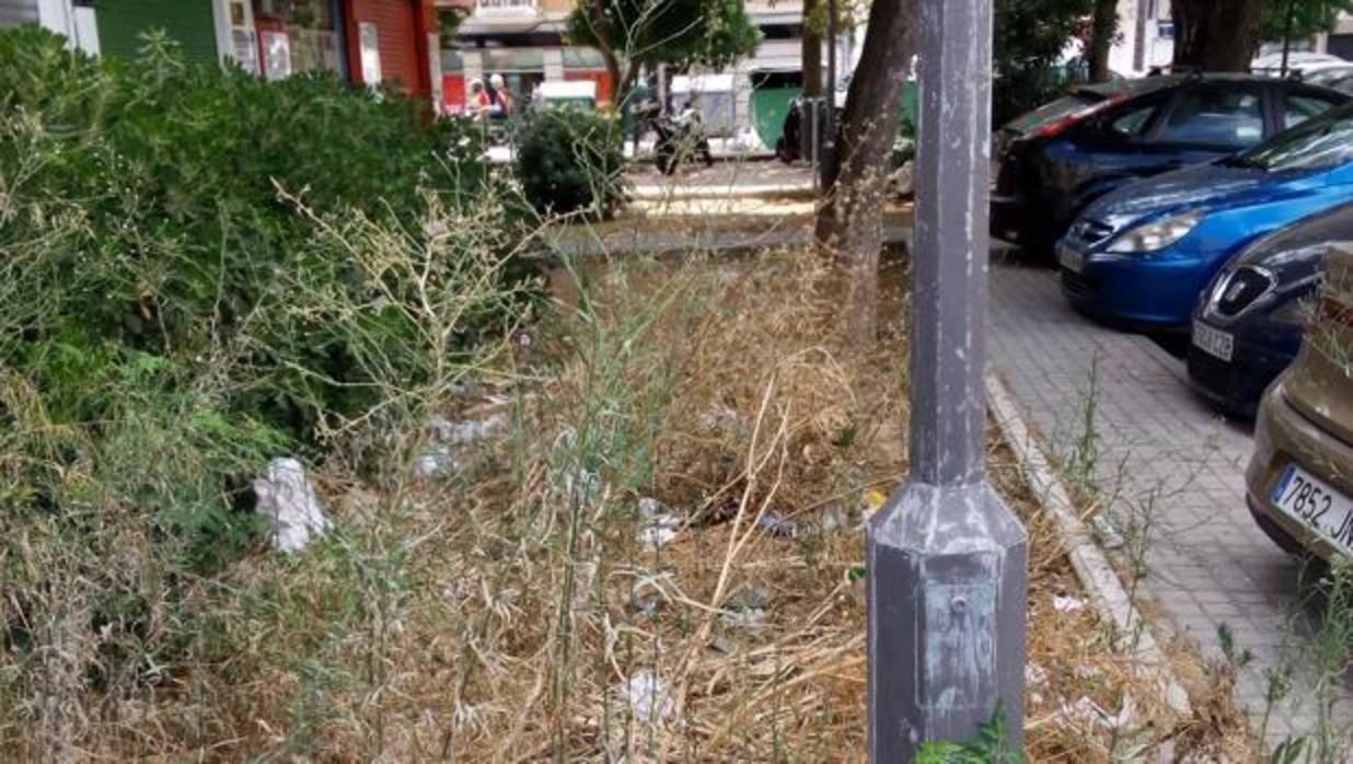 Suciedad y maleza en un parterre de una calle del distrito Cerro-Amate