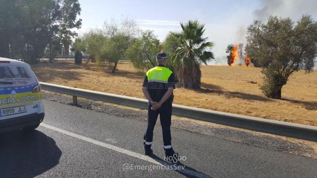 Cortado el acceso a aeropuerto de Sevilla desde Córdoba por un incendio de pastos