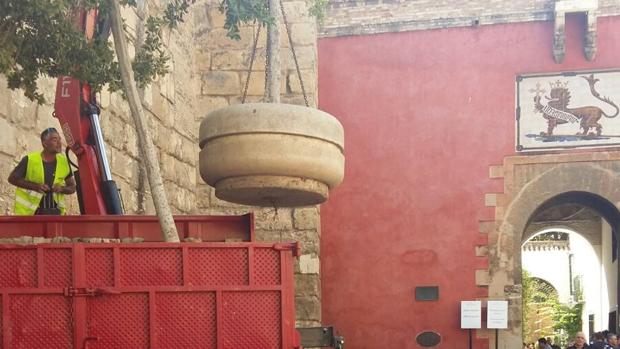 Rodean de maceteros la muralla del Alcázar de Sevilla para reforzar la seguridad