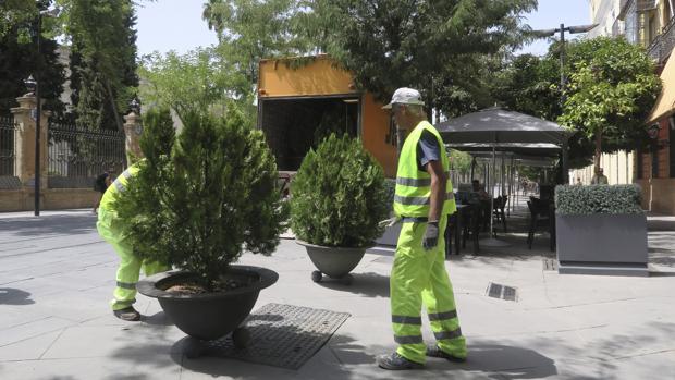 El Ayuntamiento de Sevilla instala más maceteros en la calle San Fernando junto al Prado