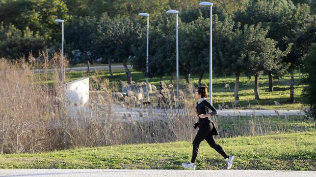 La Policía investiga una violación en el parque del Tamarguillo