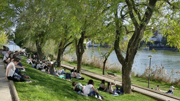 El otoño será más cálido y seco en Sevilla