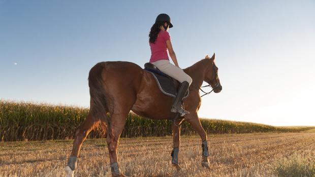 Todo el mundo puede aprender a montar a caballo con esta escuela hípica de Sevilla