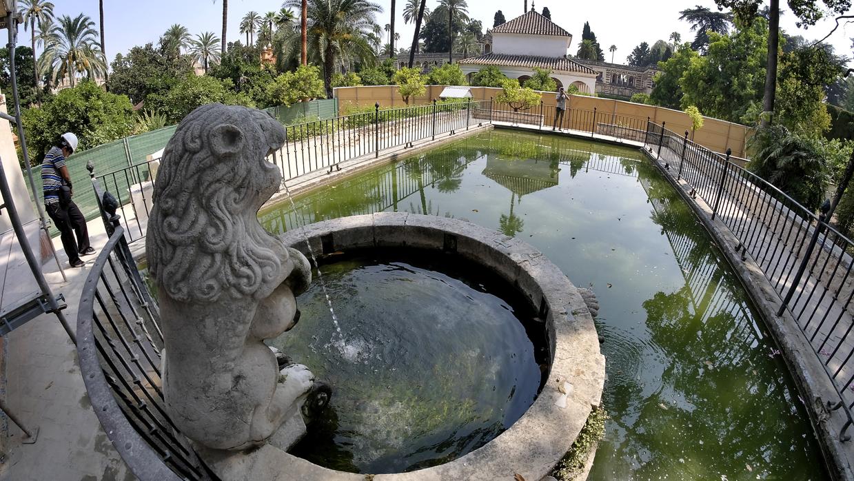Las habituales obras en los jardines del Alcázar impiden a los turistas hacer el itinerario completo