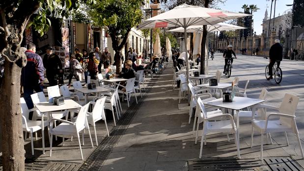 Urbanismo plantea 100 mesas y 420 sillas menos en la Avenida y la calle San Fernando