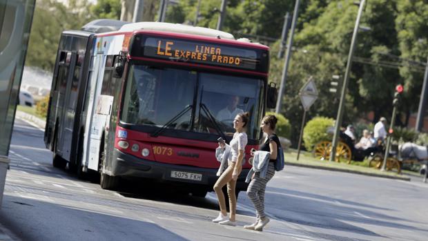 La nueva Línea Este de Tussam cumple un mes entre luces y sombras