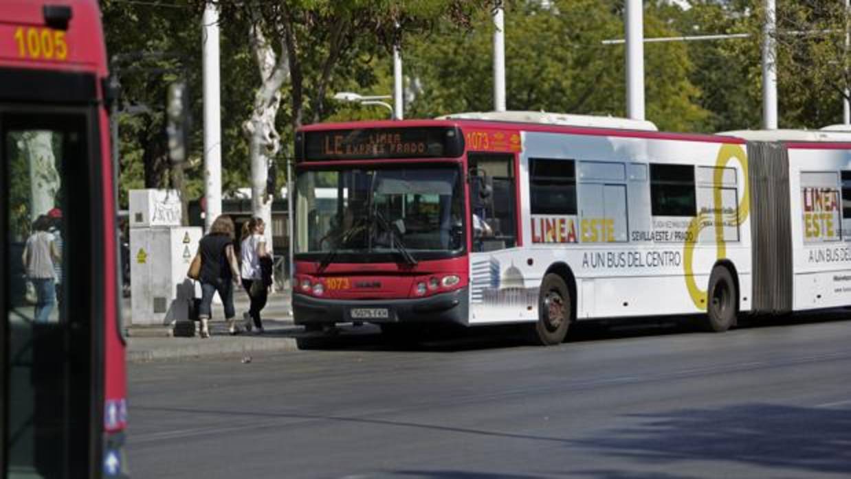 Autobuses de Tusam en el Prado de San Sebastián