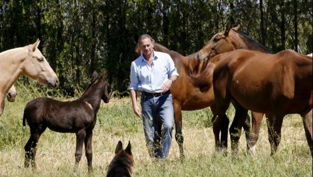 Así es la lujosa finca sevillana de Bertín Osborne