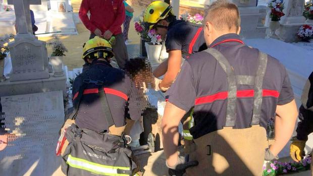 Se cae a una tumba mientras limpiaba otra en el Cementerio de San Fernando de Sevilla