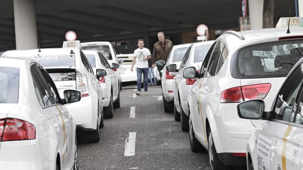 Sevilla suma en seis meses 11 licencias de vehículos de transporte concertado frente 122 de taxi