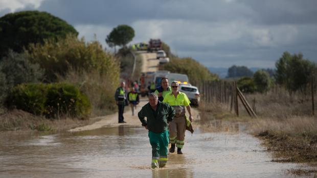 Varios heridos del accidente del tren de Arahal se personarán como causa judicial