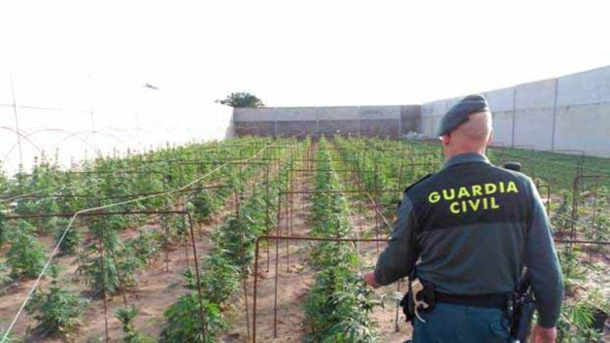 La Guardia Civil ha detenido a 17 personas en esta operación contra el táfico de droga