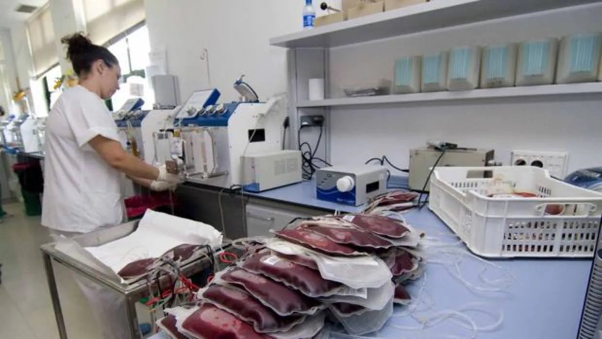 Centro Regional de Transfusiones Sanguíneas de Sevilla
