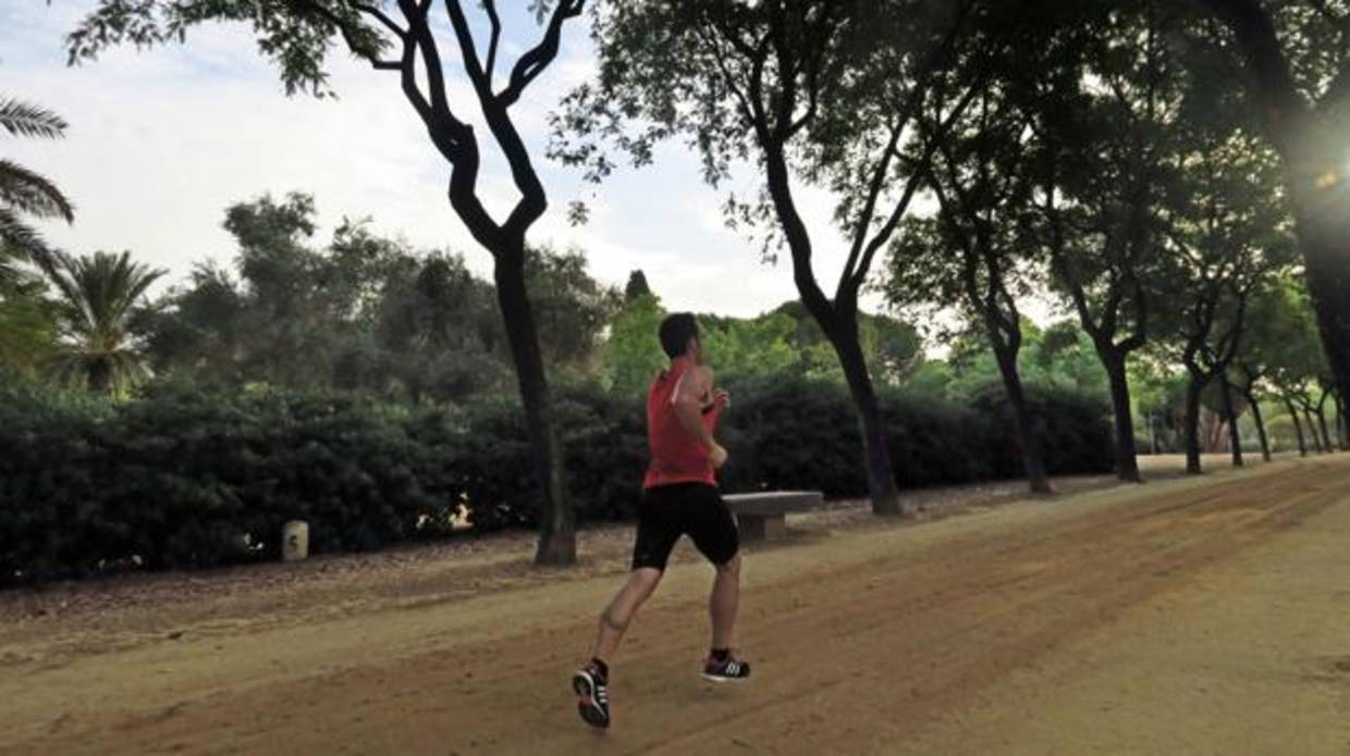 Una persona hace deporte por el parque Amate