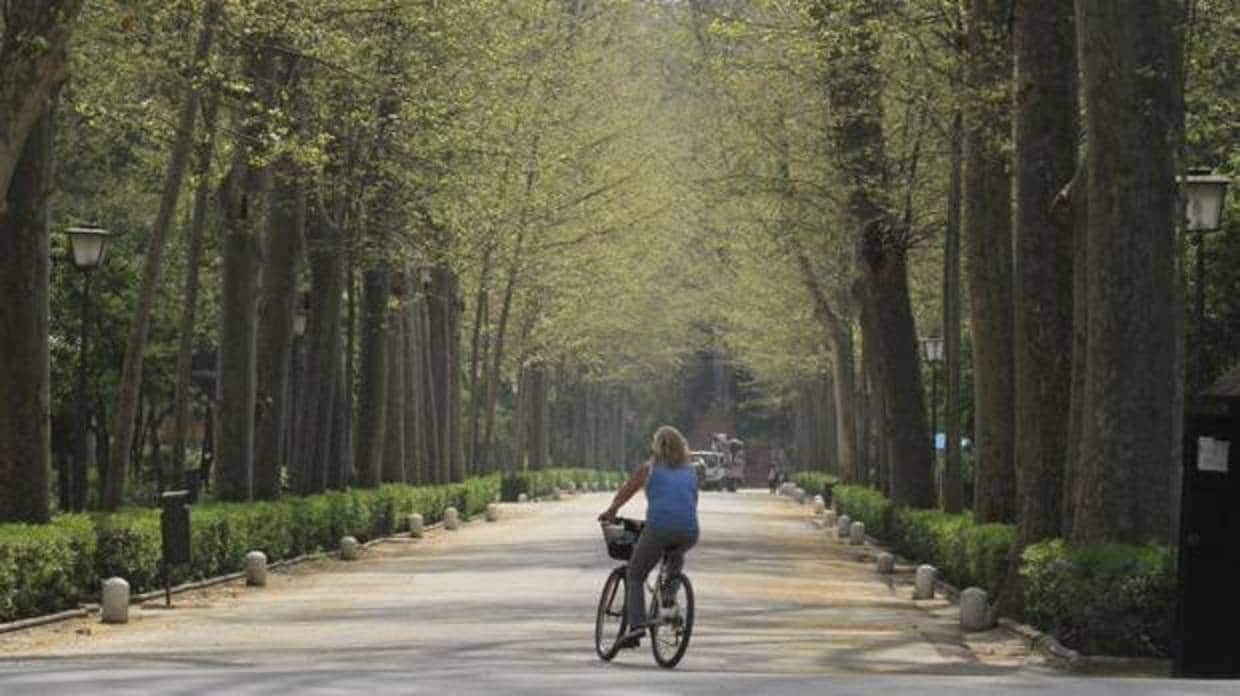 Una mujer pasea con una bicicleta en el parque de María Luisa