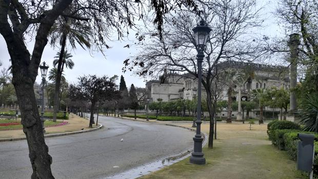 El Parque de María Luisa de Sevilla reabre al público tras el temporal