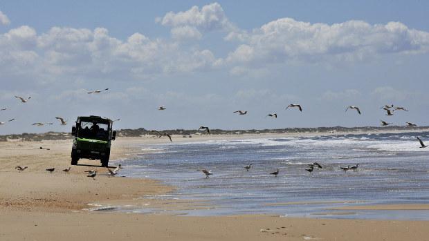 Si no has visitado Doñana esta es tu oportunidad de disfrutar de toda su belleza