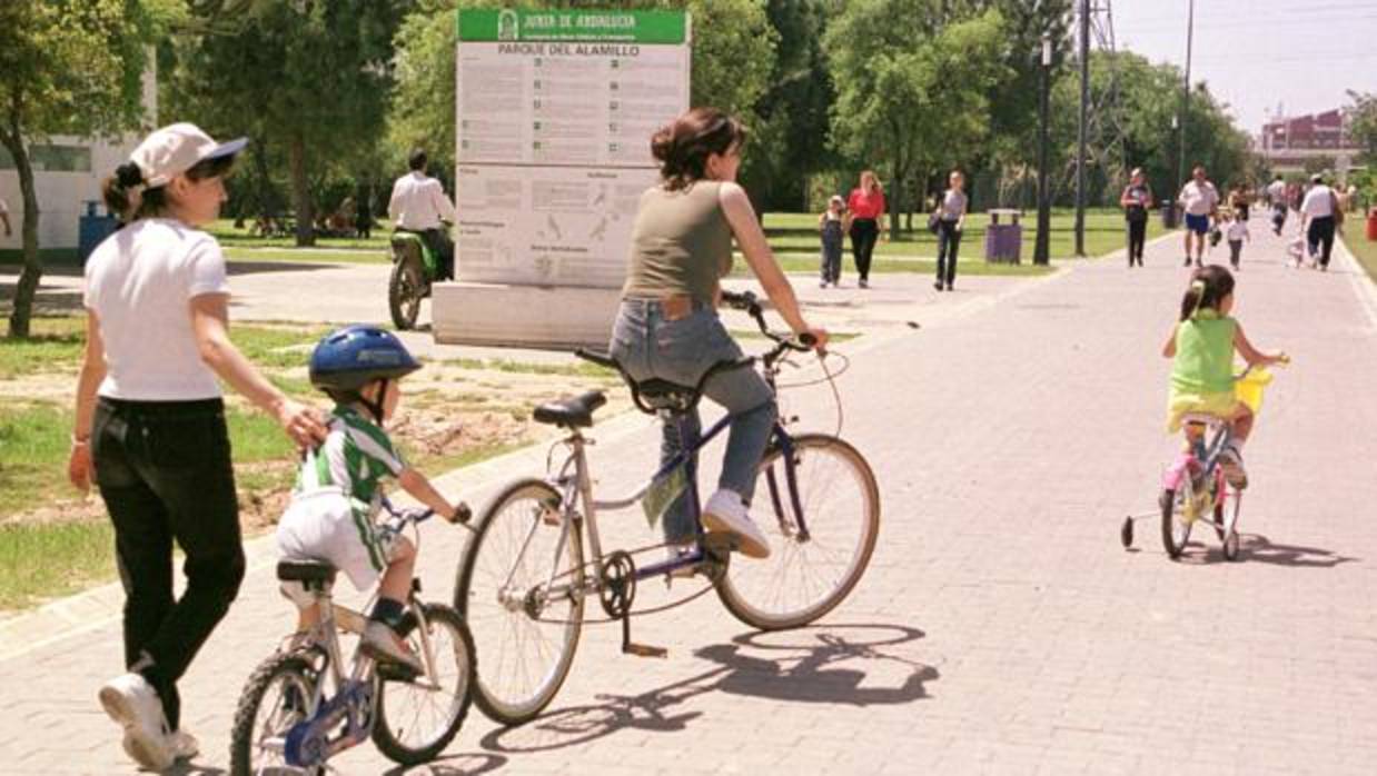Niños en bicicleta en el parque del Alamillo