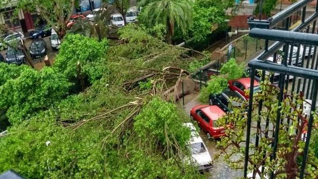 ¿Cómo ha afectado el tornado a las diferentes zonas de la ciudad de Sevilla?