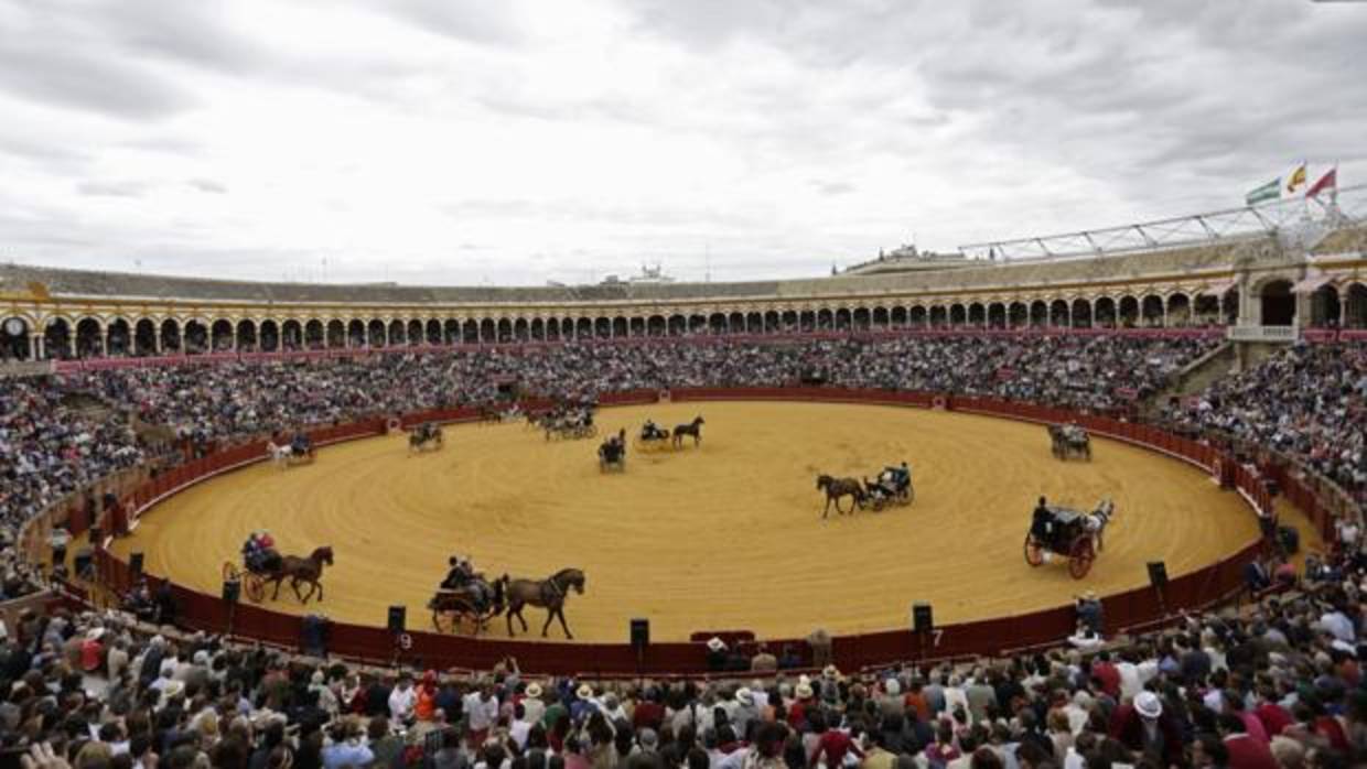 Exhibición de Enganches en la plaza de toros de la Maestranza el año pasado