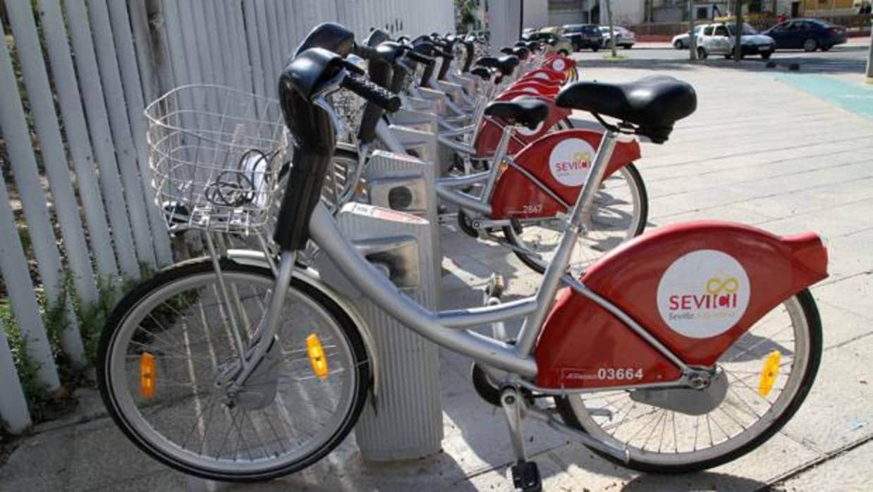Bicicletas de Sevici estacionadas en el parque de Miraflores, en la Macarena