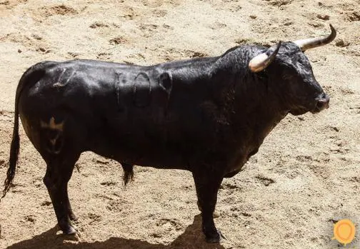 Feria de Abril de Sevilla 2018: Seis toros de Juan Pedro Domecq para Ponce, Manzanares y Ginés