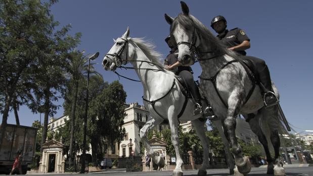 Los robos en Sevilla capital bajan más del 20% en el primer trimestre de 2018