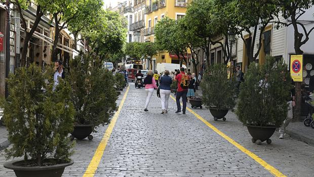 Vecinos del barrio de Santa Cruz de Sevilla, hartos de las despedidas de soltero