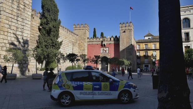 Ciudadanos pedirá el plan de revisiones del arbolado del Alcázar de Sevilla