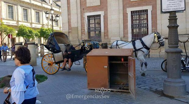 Un cochero de caballos cae encima de sus clientes mientras conducía borracho