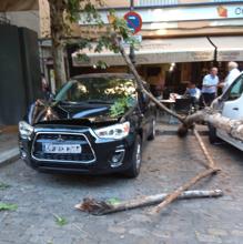 Imagen del coche dañado