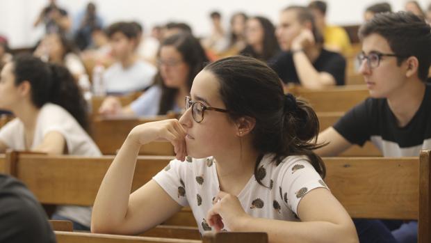 ¿Cuáles son las carreras más demandadas en la Universidad de Sevilla?