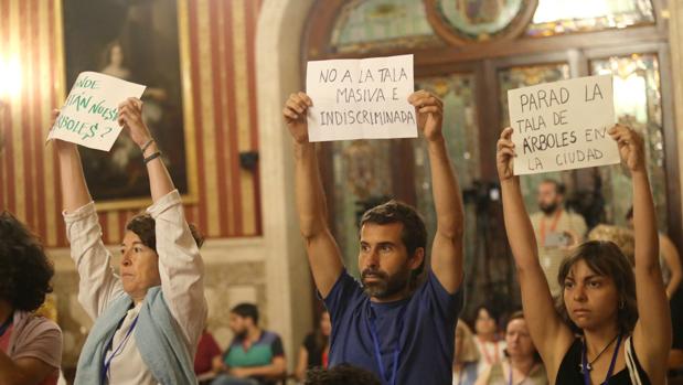 Ecologistas interrumpen el pleno del Ayuntamiento de Sevilla en protesta por la tala de áboles