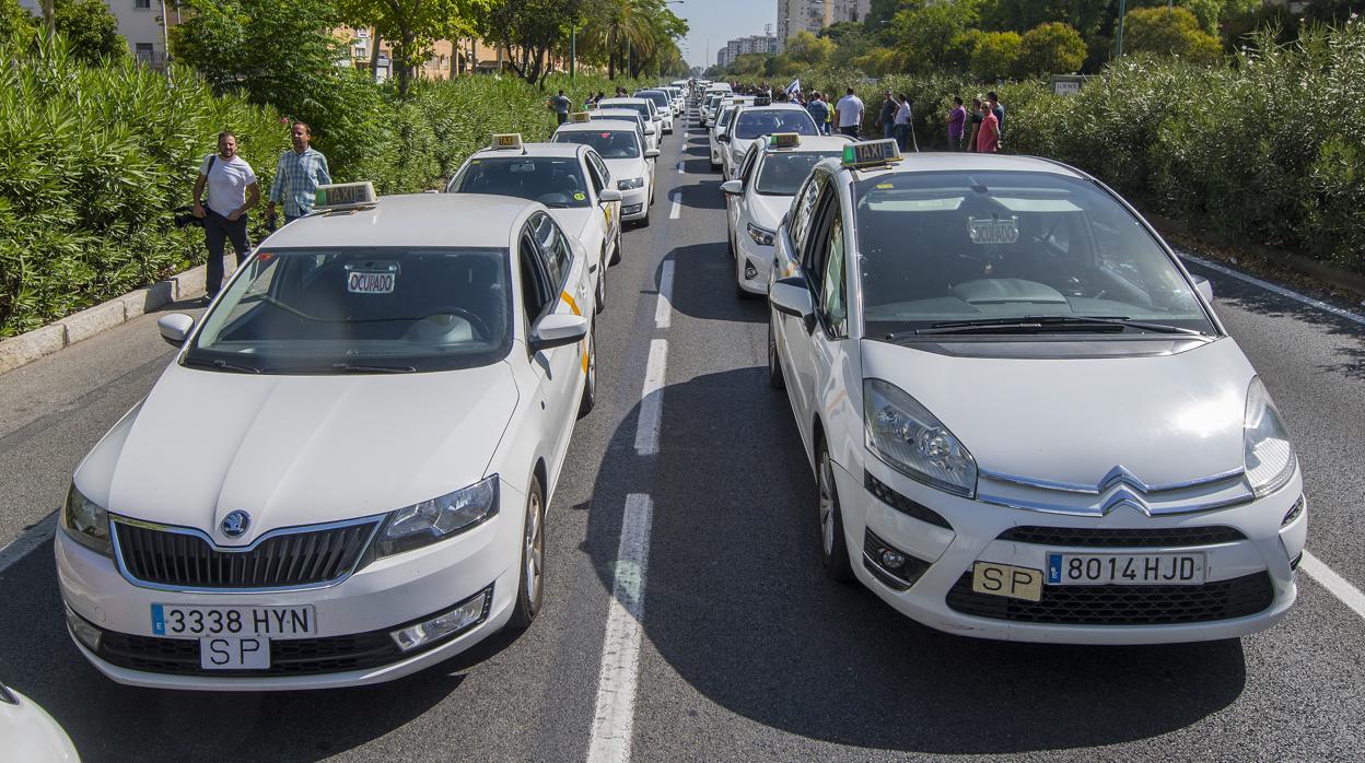 Los taxistas de Sevilla realizan protestas esporádicas y deciden este lunes si paran