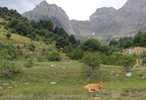 Momentos antes de la granizada en el Pirineo oscense