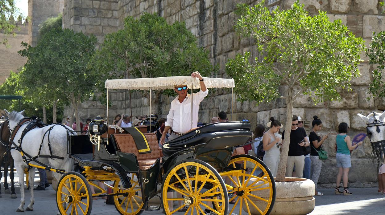 La fila de coches de caballos y la cola de turistas, separadas por los macetones de los Reales Alcázares
