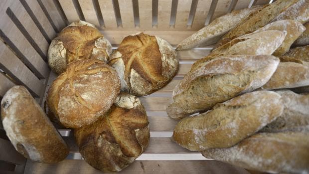 ¿Cómo saber si un pan es de masa madre y fermentación lenta?