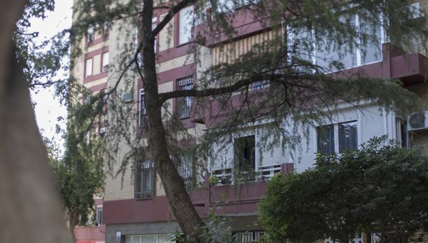 Cs presentará una iniciativa sobre el arbolado y contra las talas indiscriminadas