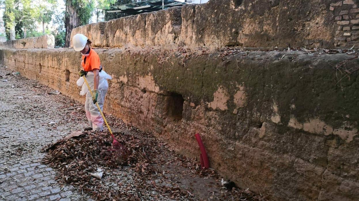 Una trabajdora de Lipasam retira residuos en el interior de la muralla