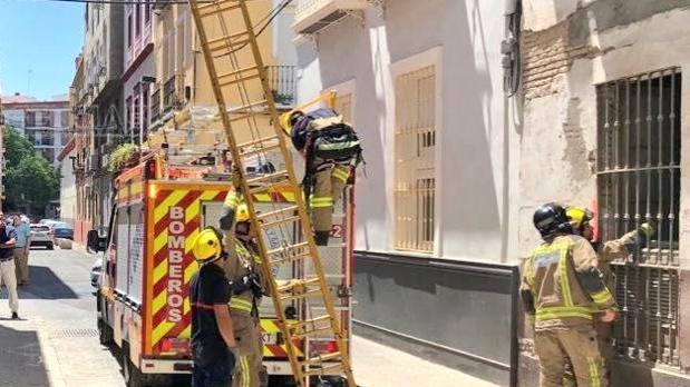 Cuánto dinero te cuesta llamar a los bomberos de Sevilla