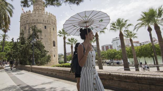 El tiempo en Sevilla: Osuna y Carmona baten récords de calor durante esta madrugada