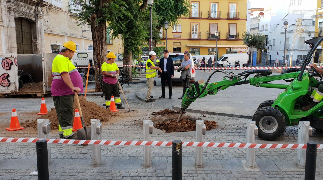 Operarios municipales, este lunes en la Plaza del Pumarejo de Sevilla