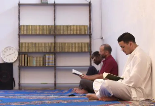 Varios fieles leen en la mezquita de Ponce de León