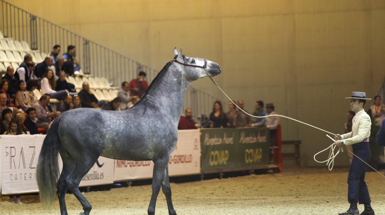 Una de las pruebas del campeonato de Ancce